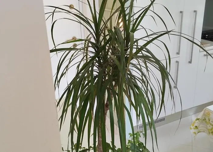 Apartman Azure View Split